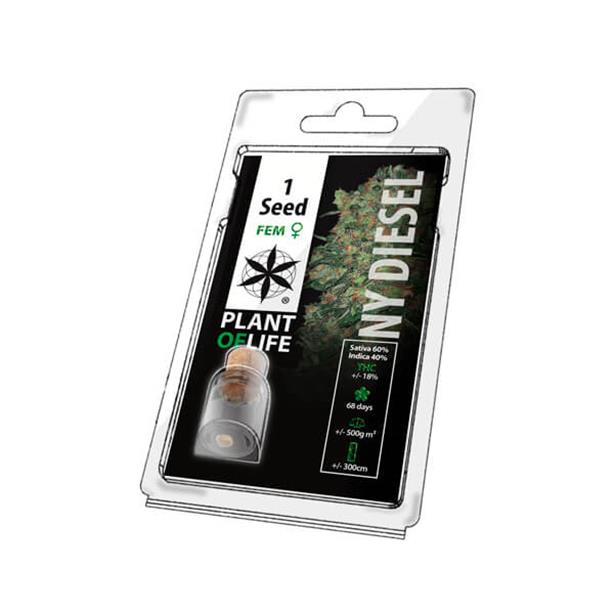 Plant Of Life Ny Diesel Fem 1 Seeds