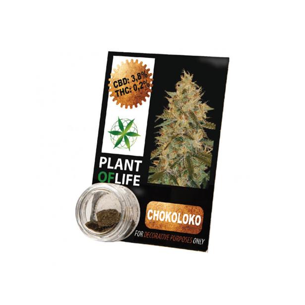 Plant Of Life Solid 3.8% CBD Chocoloco 1gr