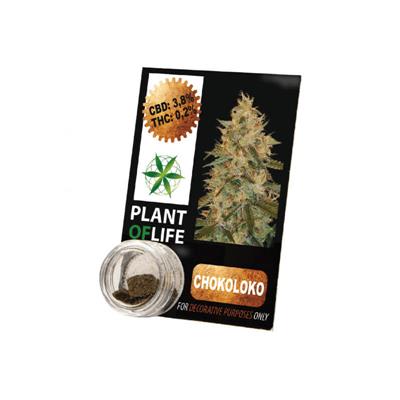 Plant Of Life Solid 3.8% CBD Chocoloco 1gr