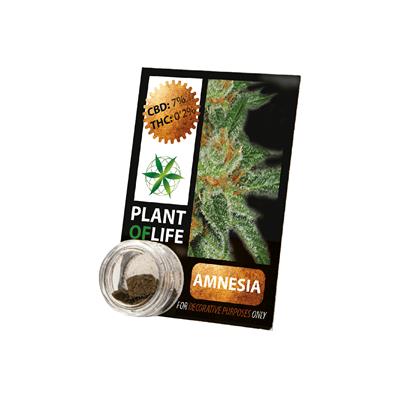 Plant Of Life Solid 3.8% CBD Amnesia 1gr