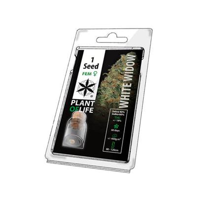 Plant Of Life White Widow Fem 1 Seeds