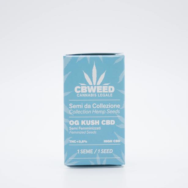 Cbweed OG Kush CBD Fem 1 Seeds