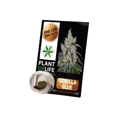 Plant Of Life Solid 3.8% CBD Gorilla Glue 1gr