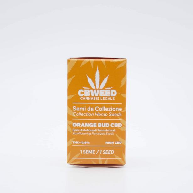 Cbweed Orange Bud CBD Fem Auto 1 Seeds