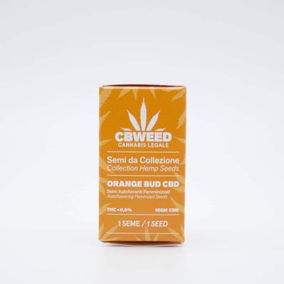 Cbweed Orange Bud CBD Fem Auto 1 Seeds