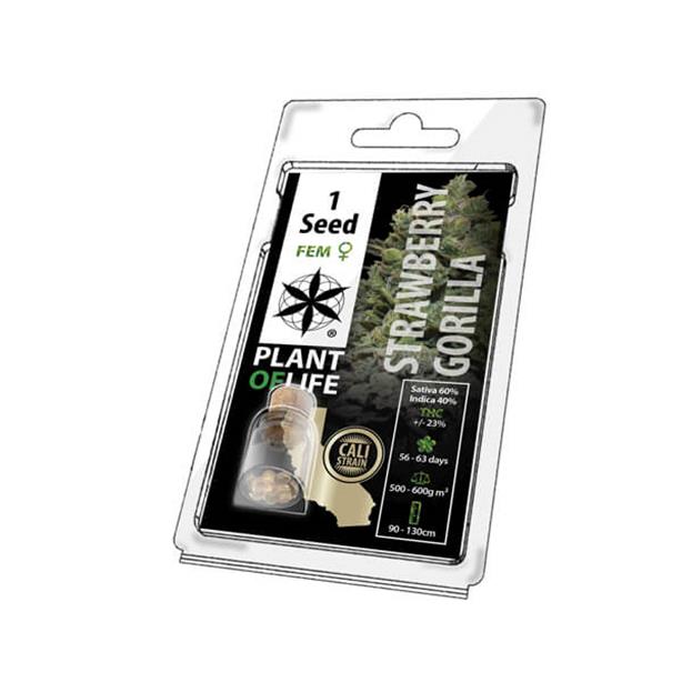 Plant Of Life Strawberry Gorilla Fem 1 Seeds