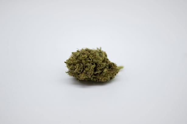 Cbweed Cannabis Flower Light Blue Cheese CBD 2gr