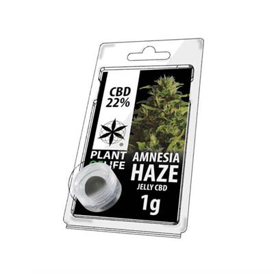 Plant Of Life Jelly 22% CBD Amnesia 1gr