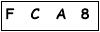 salt-AAC8B4C6