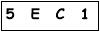 salt-79196CCB
