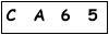 salt-95AA0CB4